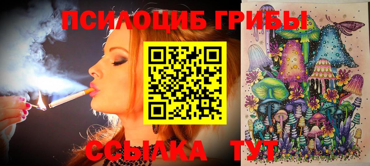 Галлюциногенные грибы Psilocybine cubensis Удомля