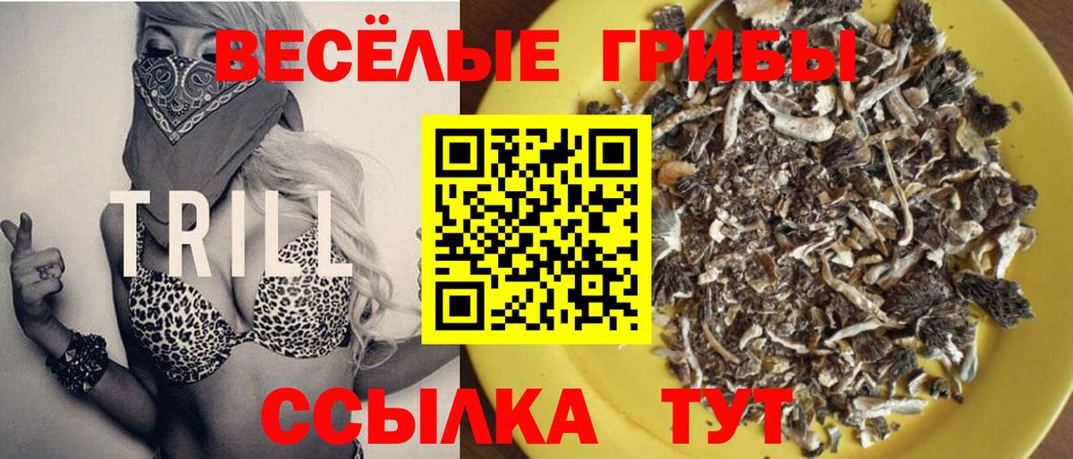купить   Псилоцибиновые грибы прущие грибы  Вход с VPN  Удомля  Псилоцибиновые грибы прущие грибы 